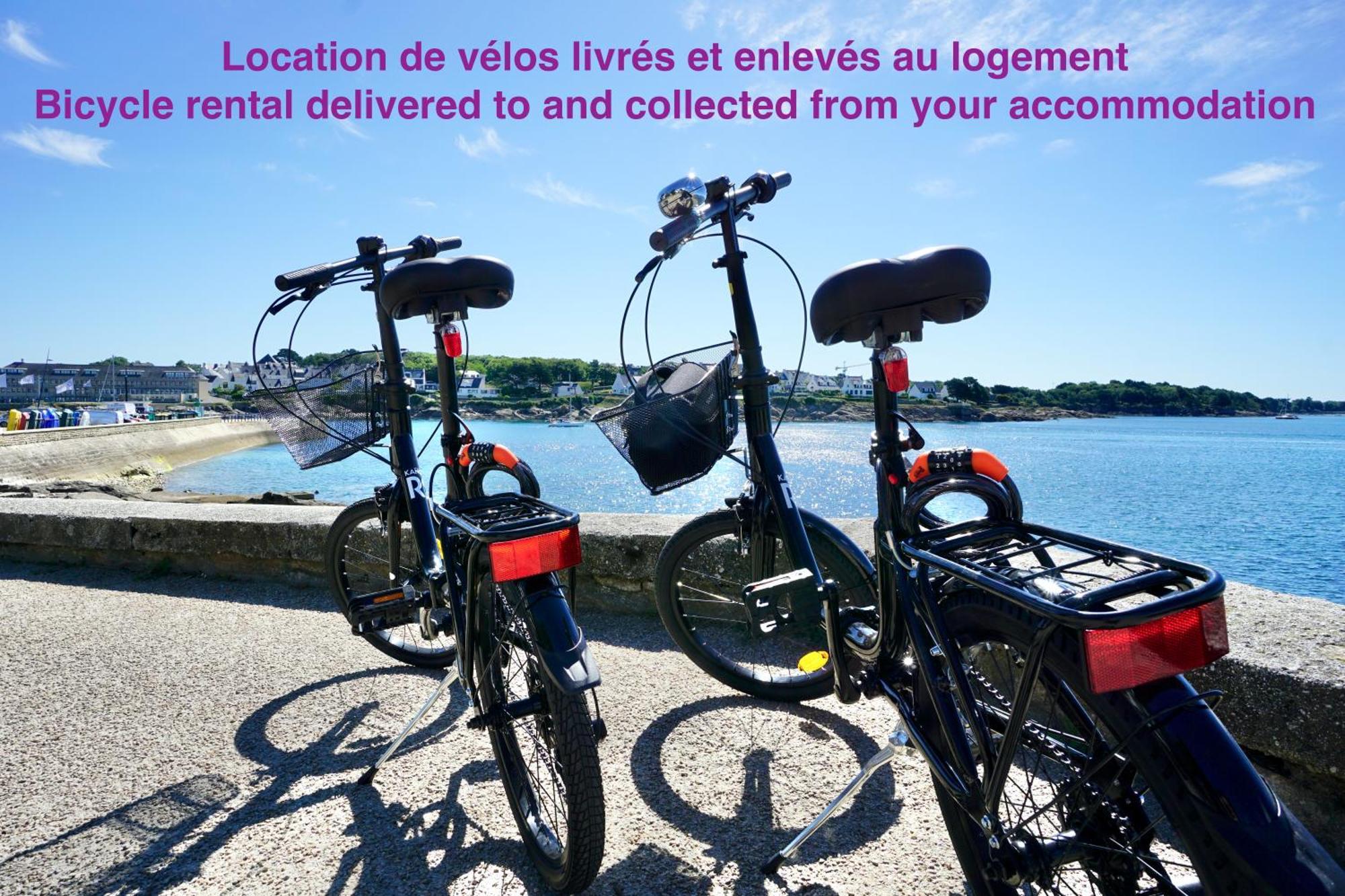 Le Bellevue *A 2 Pas De La Mer * Hyper Centre* Larmor-Plage Exterior foto